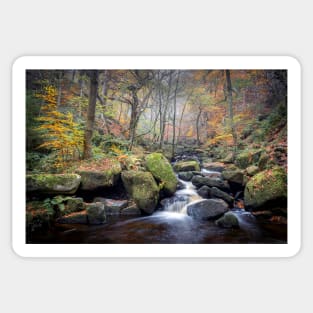 stream in a misty forest in autumn Sticker